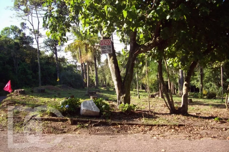 Código: 29