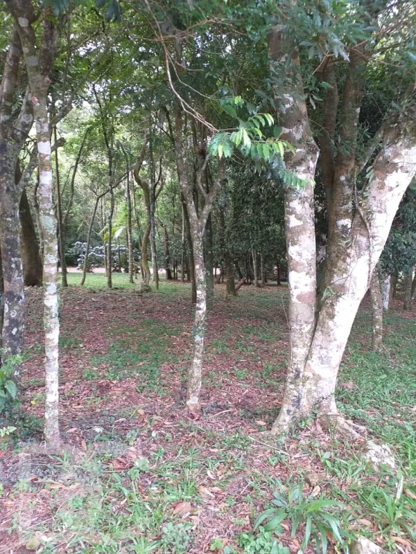 Código: 29